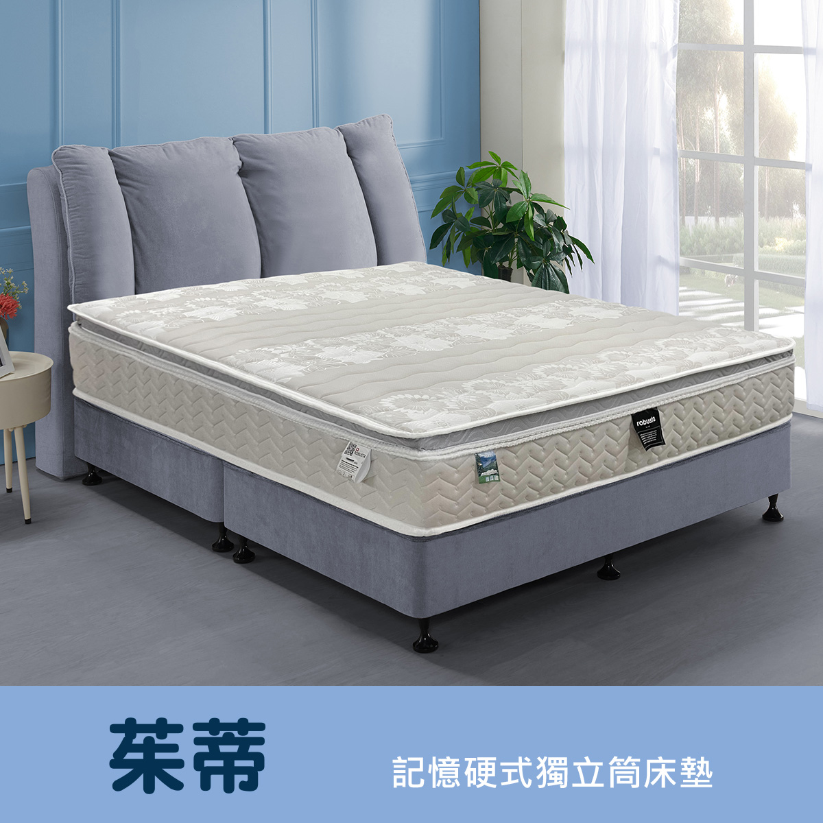 茱蒂<br>軟○○○●○○○硬