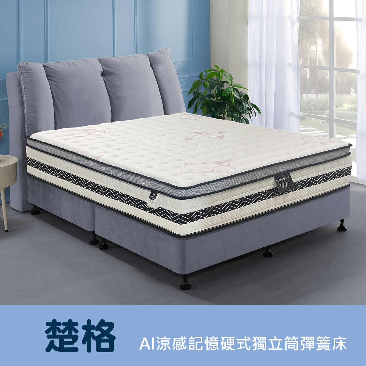 楚格<br>軟○○○○●○○硬