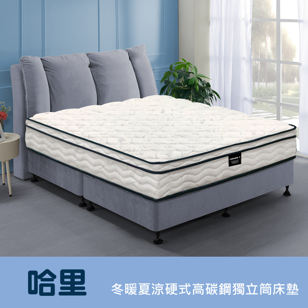 哈里<br>軟○○○○○●○硬