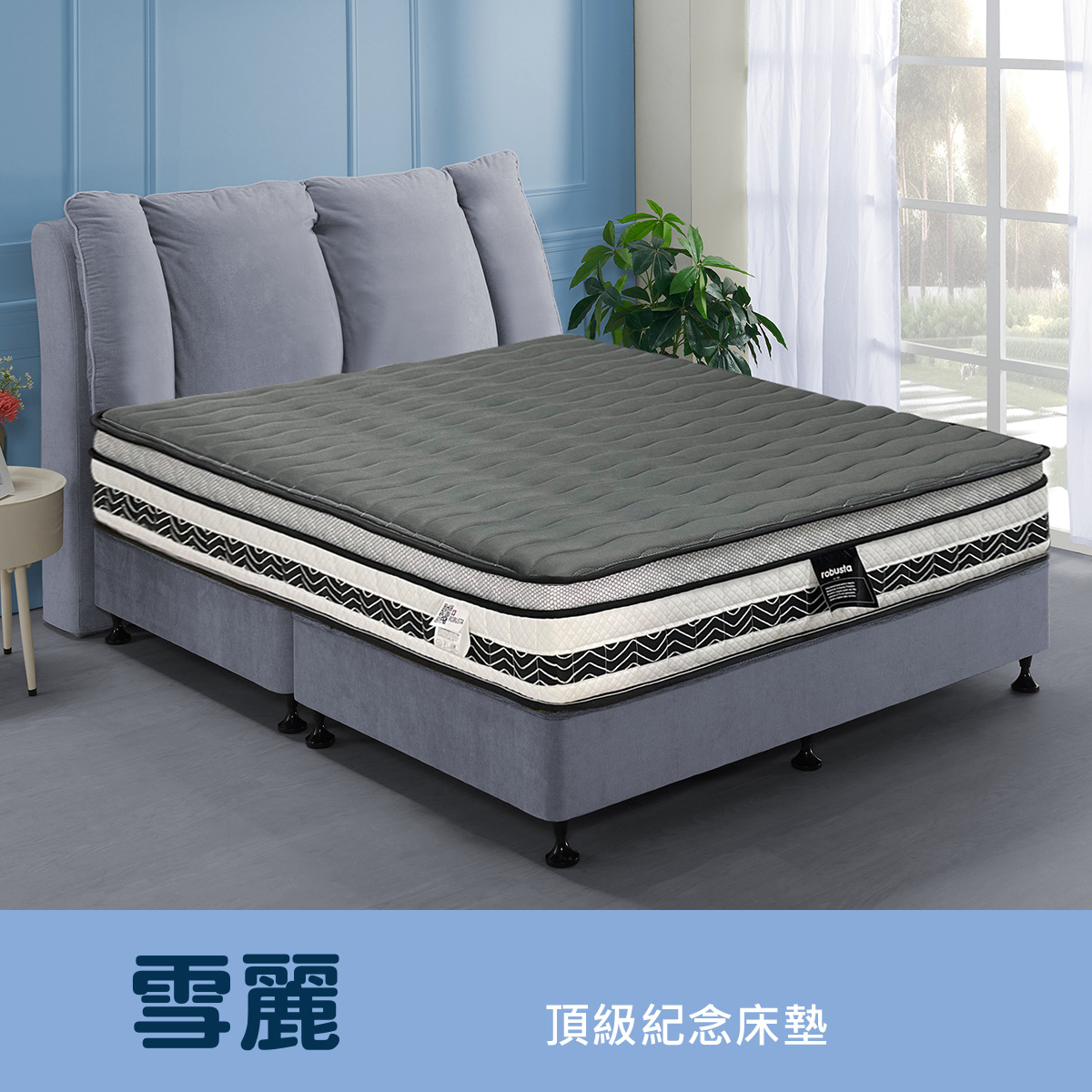 雪麗<br>軟○○○○○○●硬