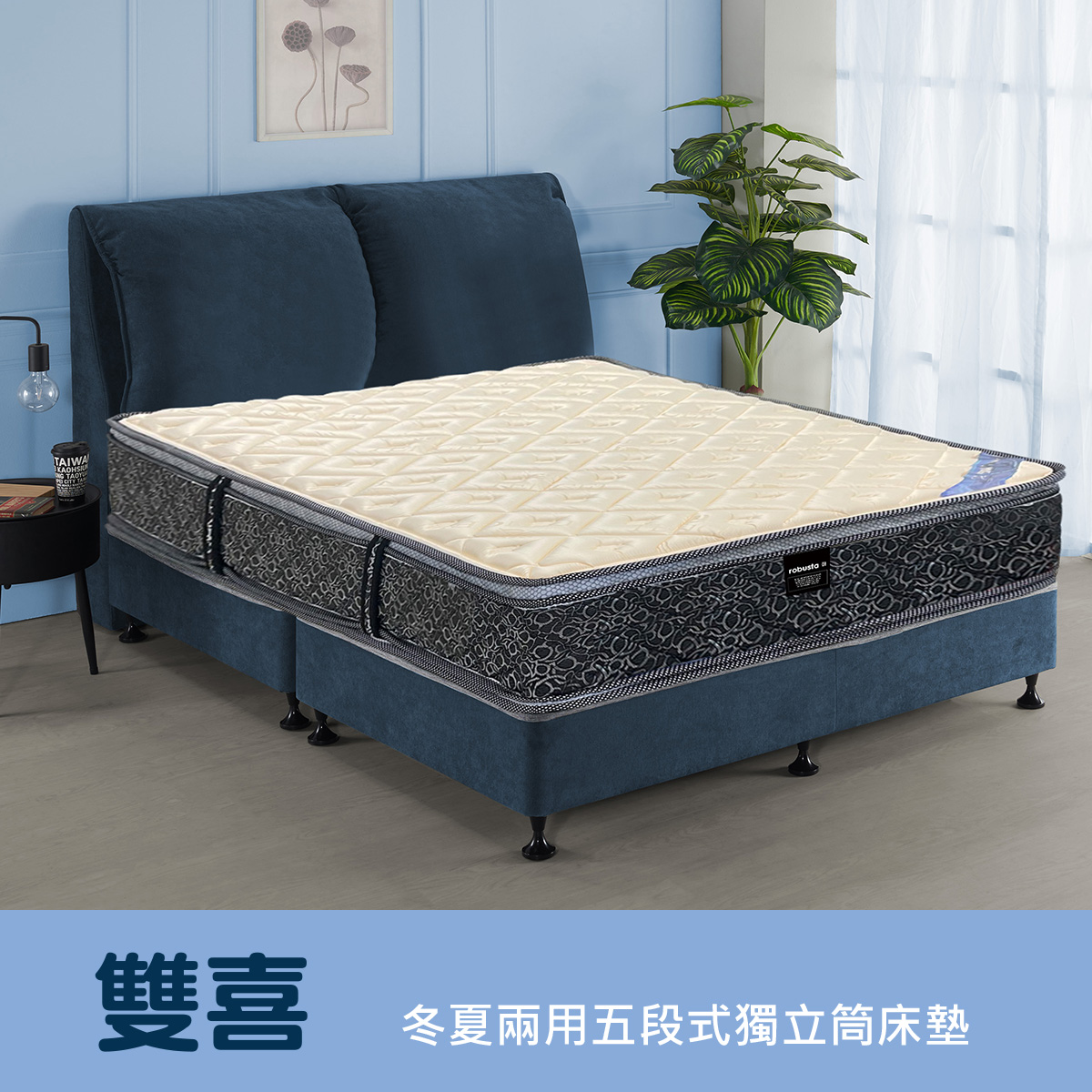 雙喜<br>軟○○○●○○○硬