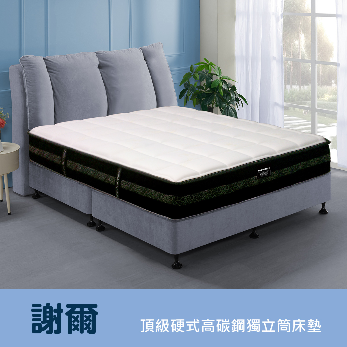 謝爾<br>軟○○○○○●○硬