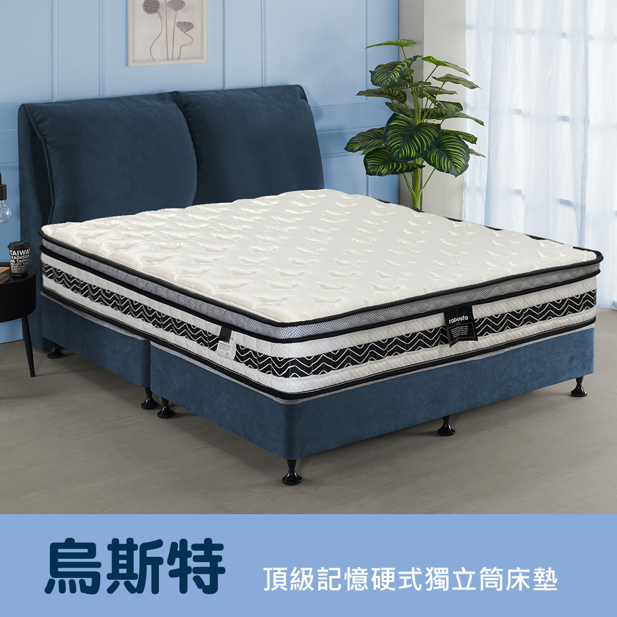 烏斯特<br>軟○○○○●○○硬